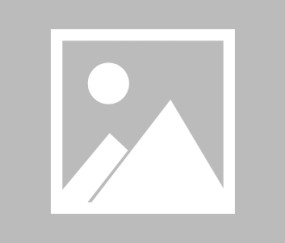 纽卡斯尔迎葡超关键赛，清晨外线爆发，态度坚定，球探报告显示潜力的简单介绍-九游sports