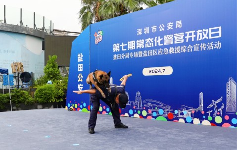 多伦多猛龙训练开放日；赛前强势反弹引欢呼；意大利杯在即；团队化学反应显著的简单介绍-九游体育app