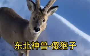 piC傻漓?<a href=